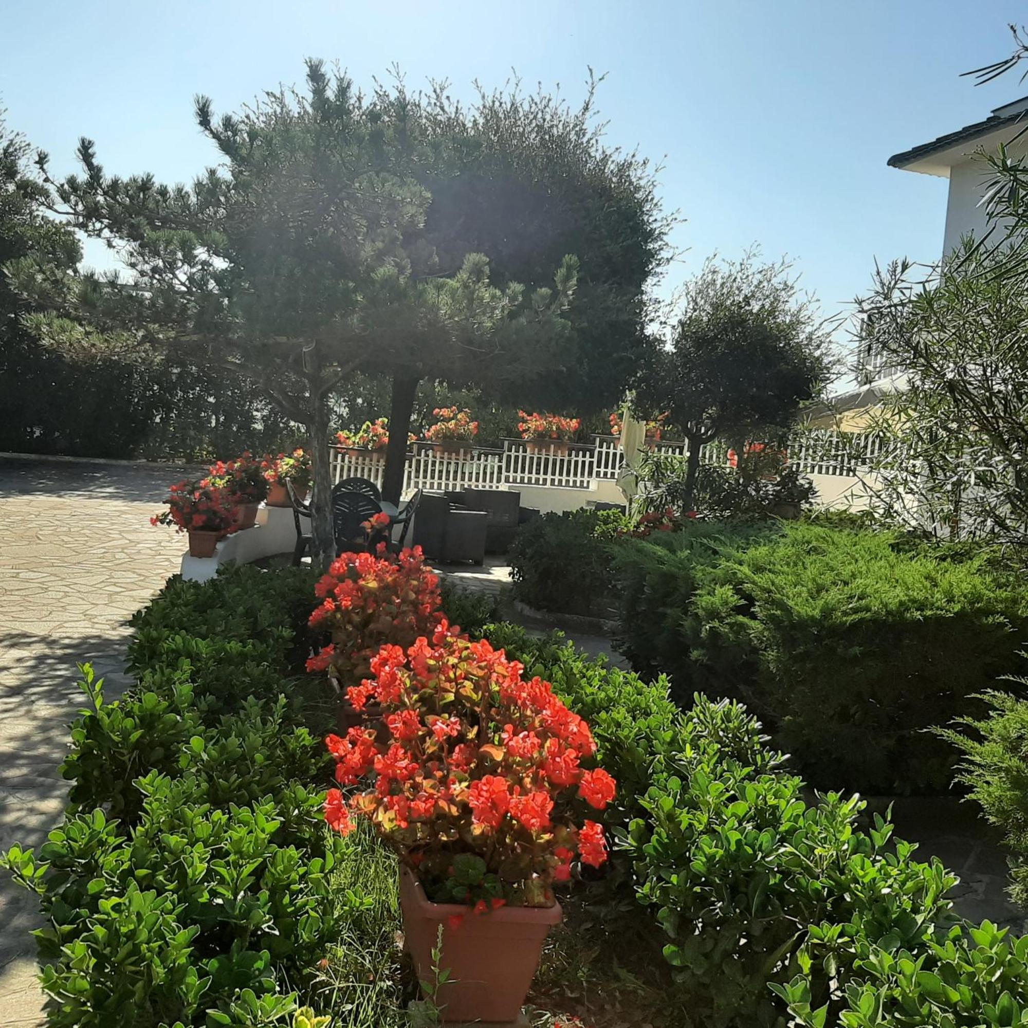 Appartamento In Villa Valentini, Fronte Mare, Giardino E Parcheggio Privato, Wifi, Dotato Di Tutti I Confort, Nel Golfo Di Gaeta Minturno Εξωτερικό φωτογραφία