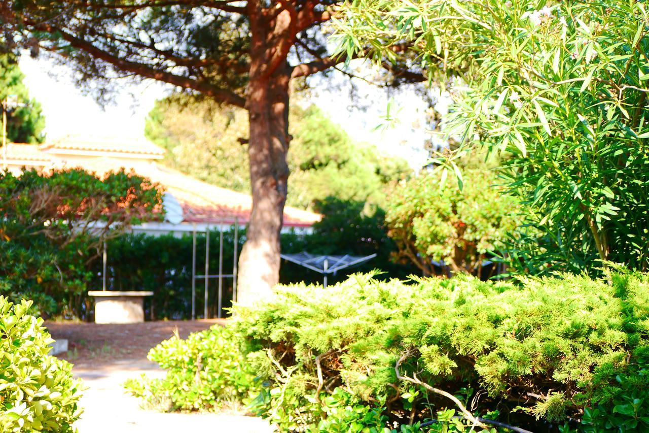 Appartamento In Villa Valentini, Fronte Mare, Giardino E Parcheggio Privato, Wifi, Dotato Di Tutti I Confort, Nel Golfo Di Gaeta Minturno Εξωτερικό φωτογραφία